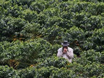 Foto: Eltiempo.com