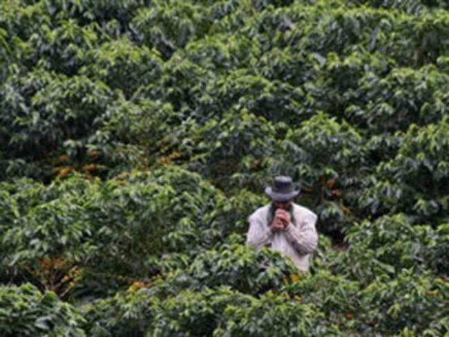 Foto: Eltiempo.com