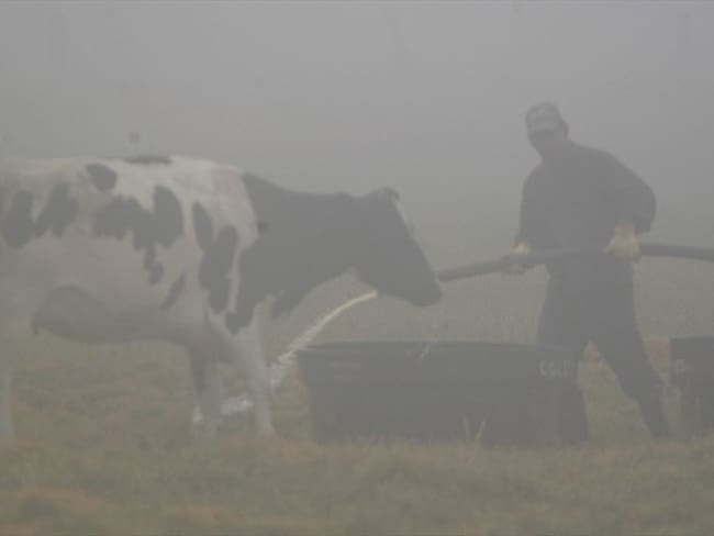 ¿Cuál es la situación de los agricultores de Cundinamarca y Boyacá por las heladas?
