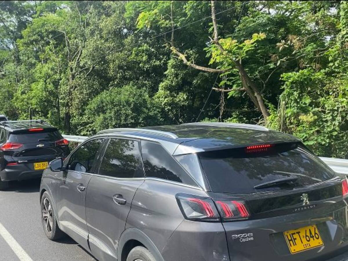 No aguantamos más, que alguien haga algo: usuarios de la vía Bogotá- Ibagué