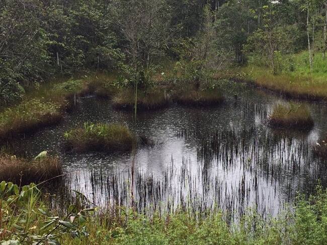 Es una tragedia, los ríos están muy impactados: Óscar Sampayo sobre derrame de petróleo