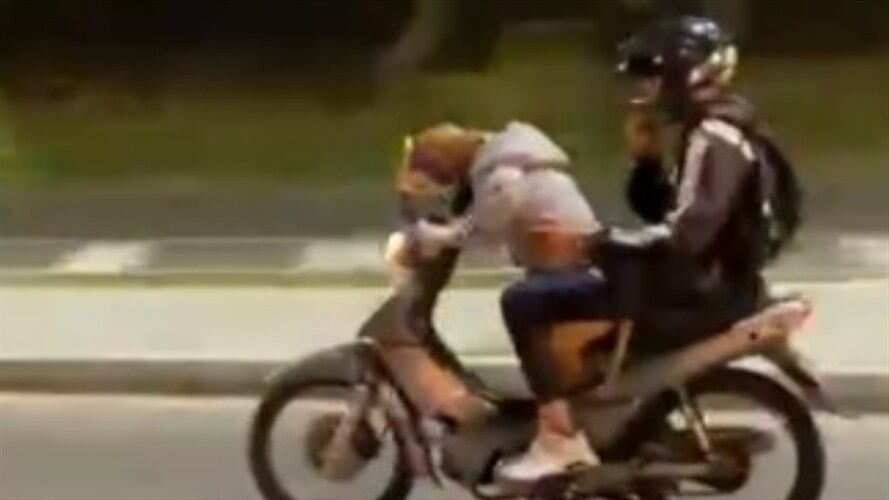 En video quedó registrado un perro motociclista que conduce en las calles de Medellín. Foto: Captura de video en Twitter: @alejarojas_g