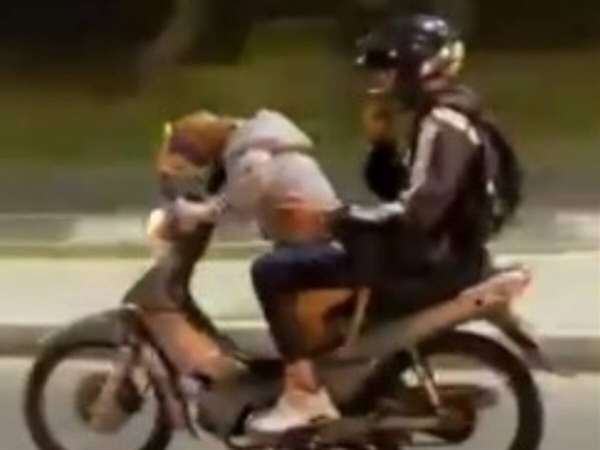 En video quedó registrado un perro motociclista que conduce en las calles de Medellín