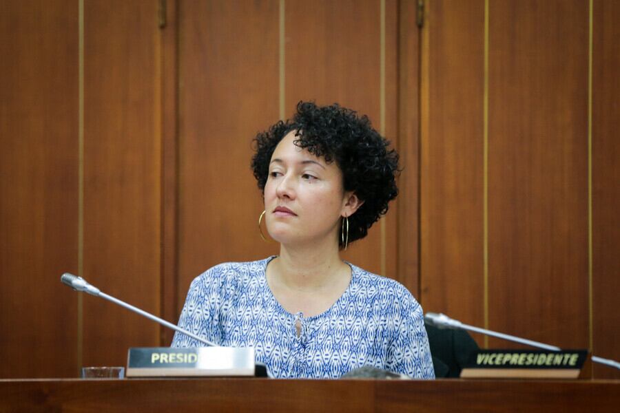 Senadora del Pacto Histórico Isabel Zuleta. Foto: Colprensa.