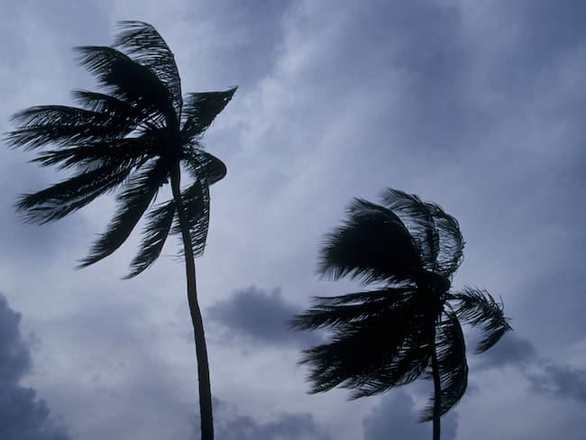 Imagen de referencia. Foto: GettyImages.