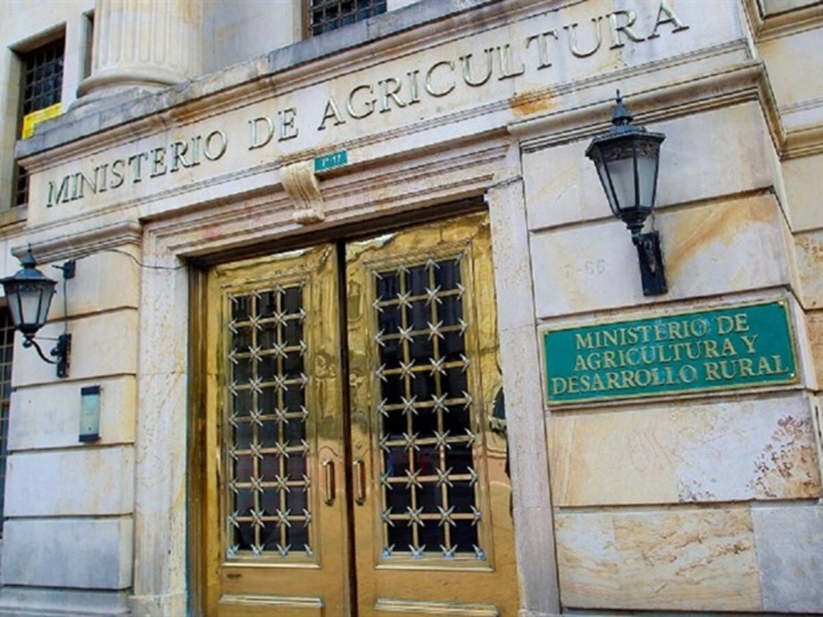 Minagricultura rechazó hechos violentos contra infraestructura arrocera en Casanare