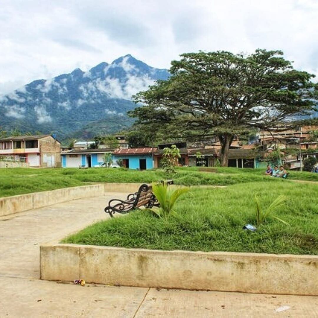 Imagen de referencia. Denuncian que estudiantes y profesores quedaron en medio del fuego cruzado en Argelia, Cauca. Crédito: Colprensa.