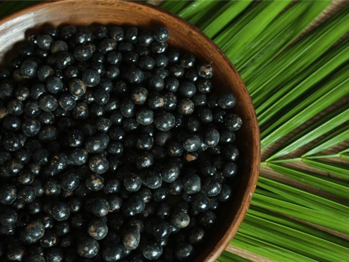 En el Putumayo sustituyen cultivos de coca por frutos amazónicos como el asaí