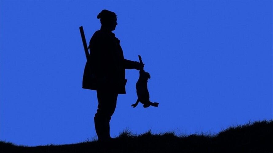 Corte Constitucional tumba normas que daban vía libre a la caza deportiva en Colombia. Foto: Getty Images