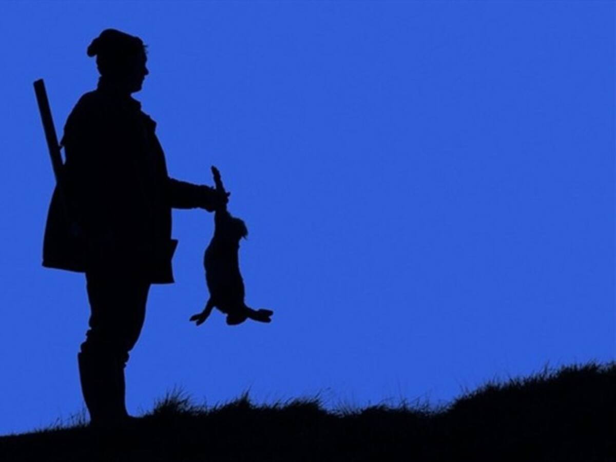 Corte Constitucional tumba normas que daban vía libre a la caza deportiva en Colombia