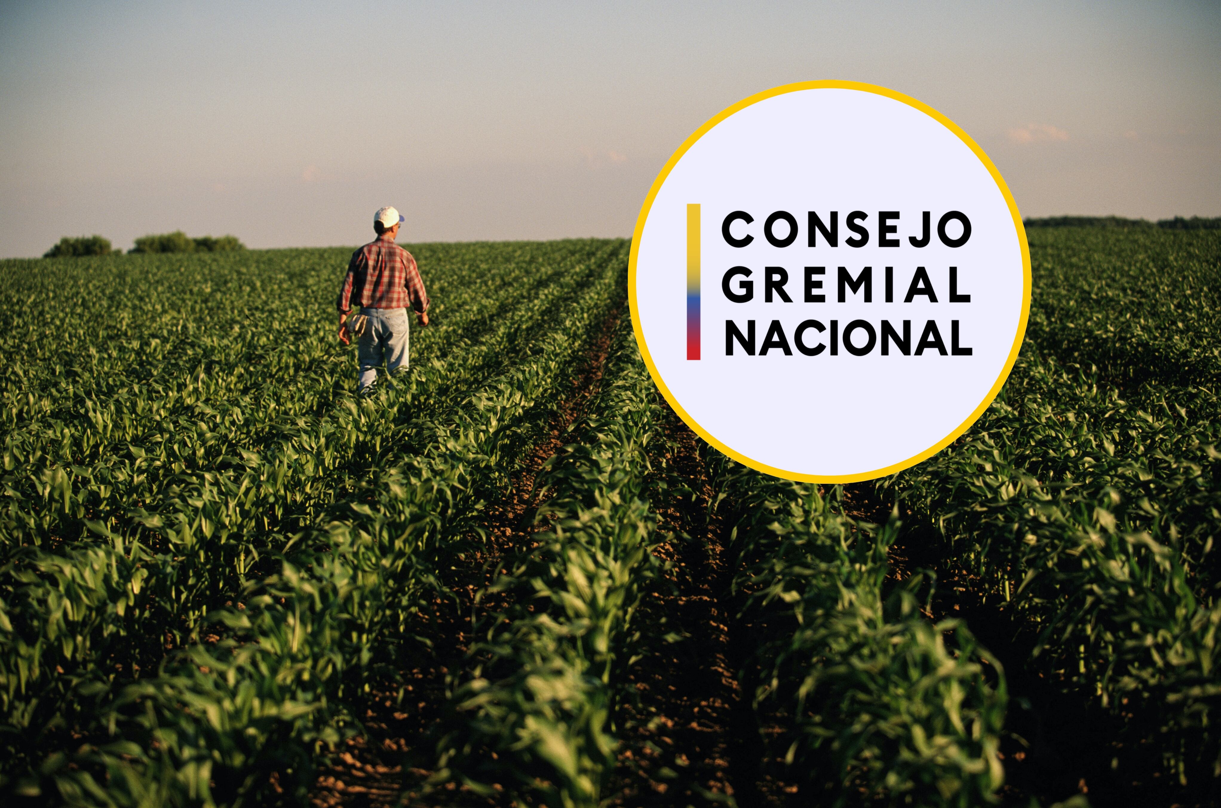 Un hombre caminando en el campo y el logo del Consejo Gremial. Foto: cortesía Per Breiehagen