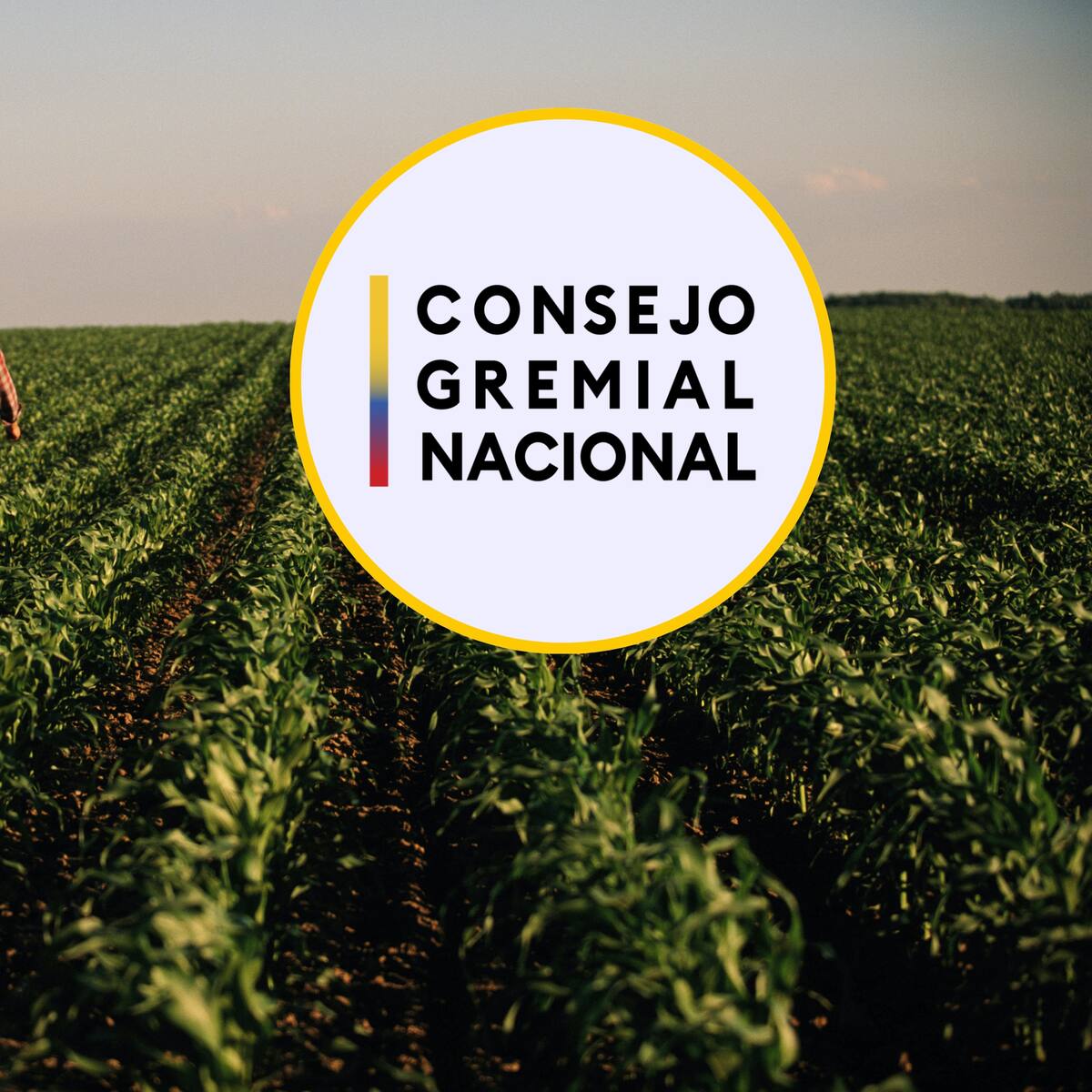 Consejo Gremial alerta que Gobierno se quiere tomar gremios agropecuarios a través de resolución