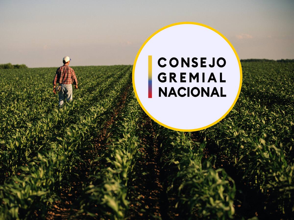 Consejo Gremial alerta que Gobierno se quiere tomar gremios agropecuarios a través de resolución