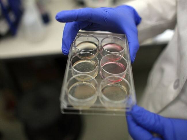 Científico explica de qué trata su estudio para eliminar malos recuerdos de la memoria