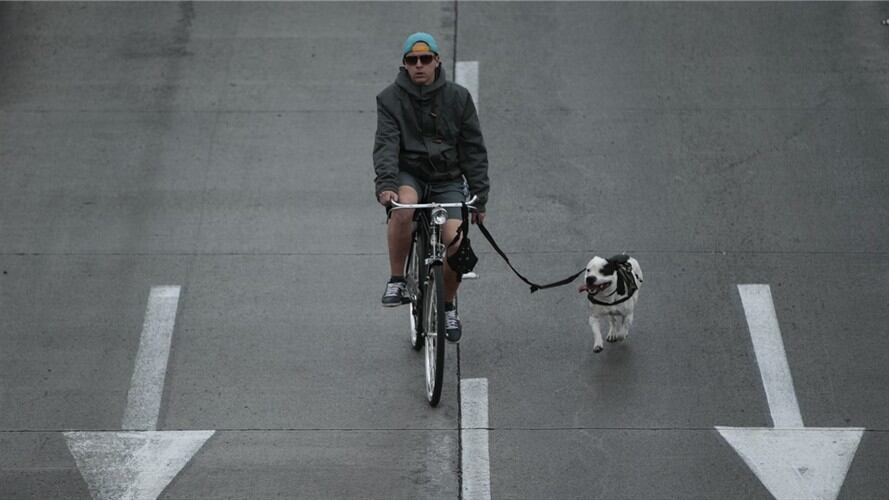 Las alarmas por la calidad del aire en varios puntos de Bogotá. Foto: Colprensa