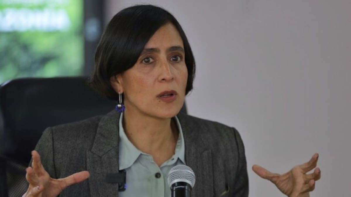 MinAmbiente va a demandar la nulidad de licencia a Colcco en Santander