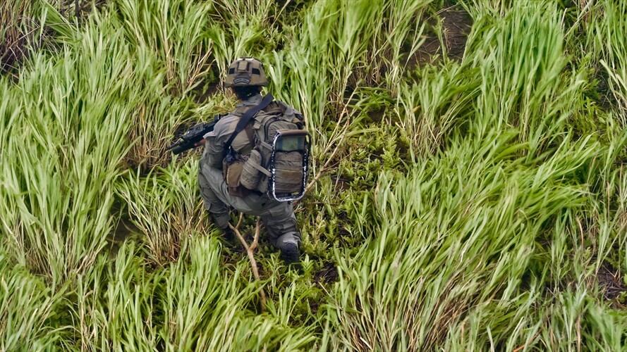 Denuncian que fuertes combates que se registran en zona rural del municipio de Suárez, afectan a la población civil. Foto: Getty Images