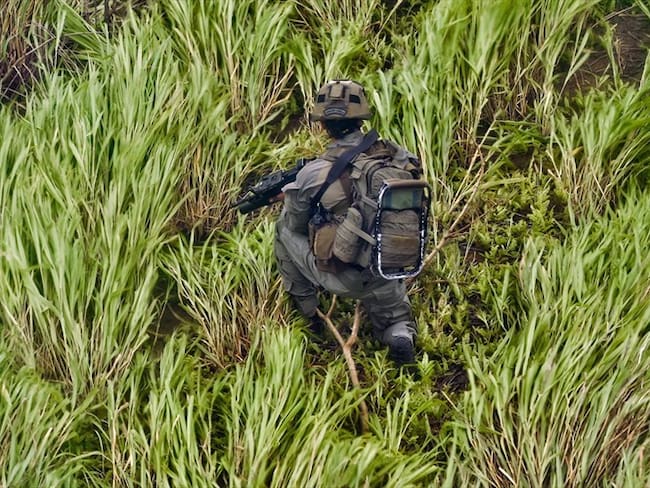 Denuncian que fuertes combates que se registran en zona rural del municipio de Suárez, afectan a la población civil. Foto: Getty Images