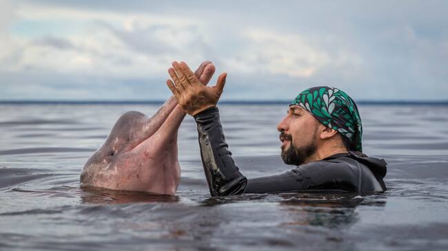 Delfines. Foto: Leonardo Spencer