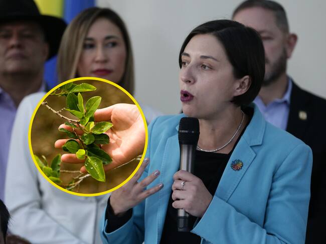 Colombia será sede de la II Conferencia Internacional de Reforma Agraria: MinAgricultura