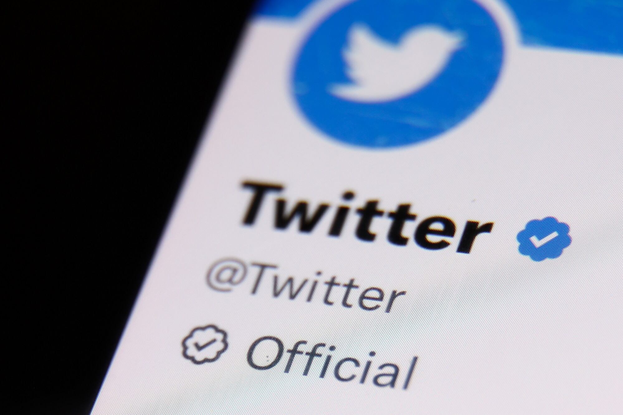 Twitter. (Photo by Jakub Porzycki/NurPhoto via Getty Images)