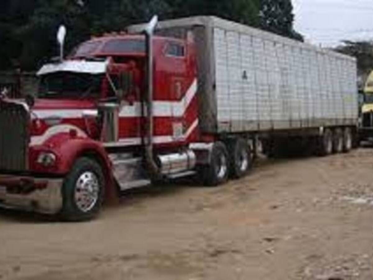 Restringen vehículos con carga superior a 10 toneladas en municipio Tiribita