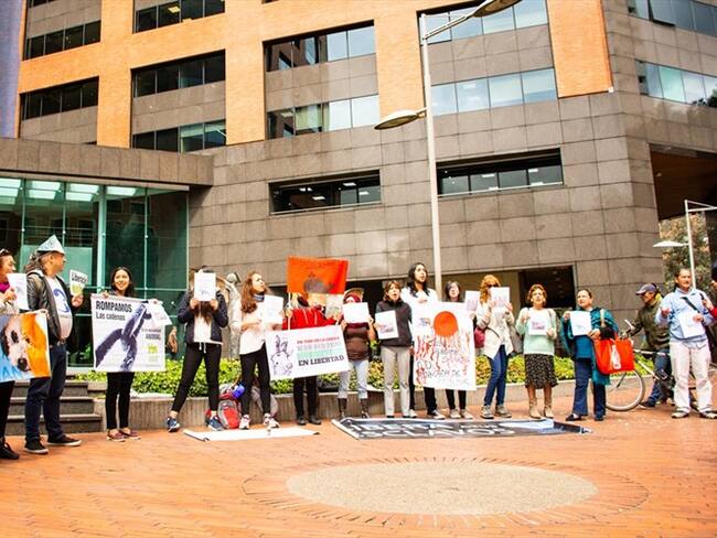 Protestas en Colombia por el regreso de Japón a la caza de ballenas. Foto: Agencia Anadolu