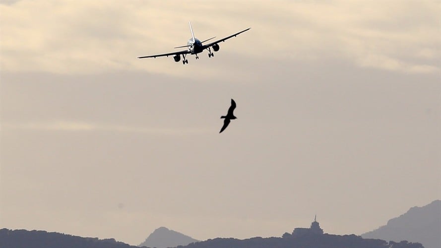 La entidad Official Airline Guide (OAG) de Londres realizó un listado de las aerolíneas que mejor cumplen sus horarios.. Foto: Getty Images