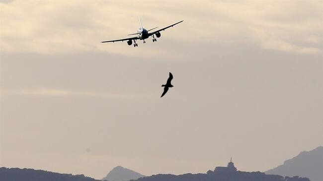 La entidad Official Airline Guide (OAG) de Londres realizó un listado de las aerolíneas que mejor cumplen sus horarios.. Foto: Getty Images