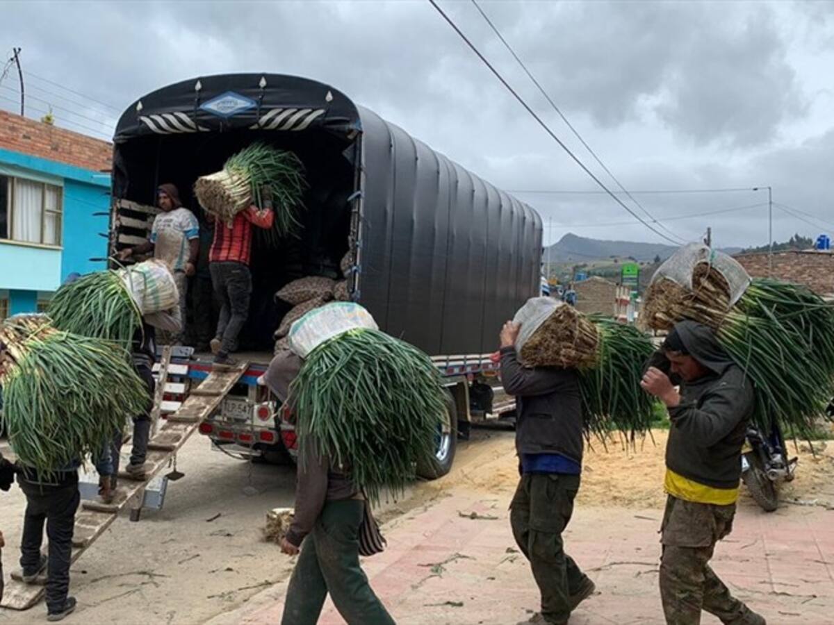 Duras críticas de campesinos en Boyacá ante medidas del Distrito en Central de Abastos