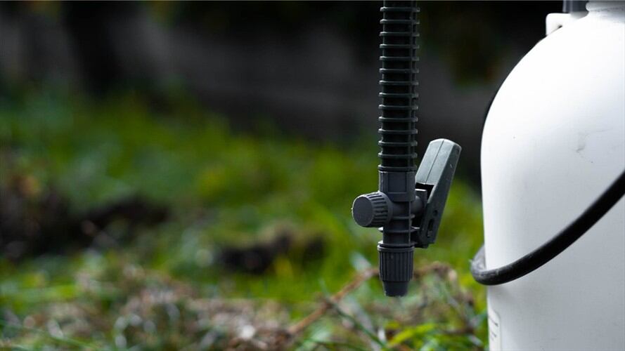 El Consejo Gremial indicó que respalda la gestión que el Gobierno Nacional viene liderando para erradicar los cultivos ilícitos. Foto: Getty Images / RYAN MAMMEN