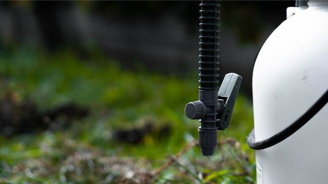 El Consejo Gremial indicó que respalda la gestión que el Gobierno Nacional viene liderando para erradicar los cultivos ilícitos. Foto: Getty Images / RYAN MAMMEN