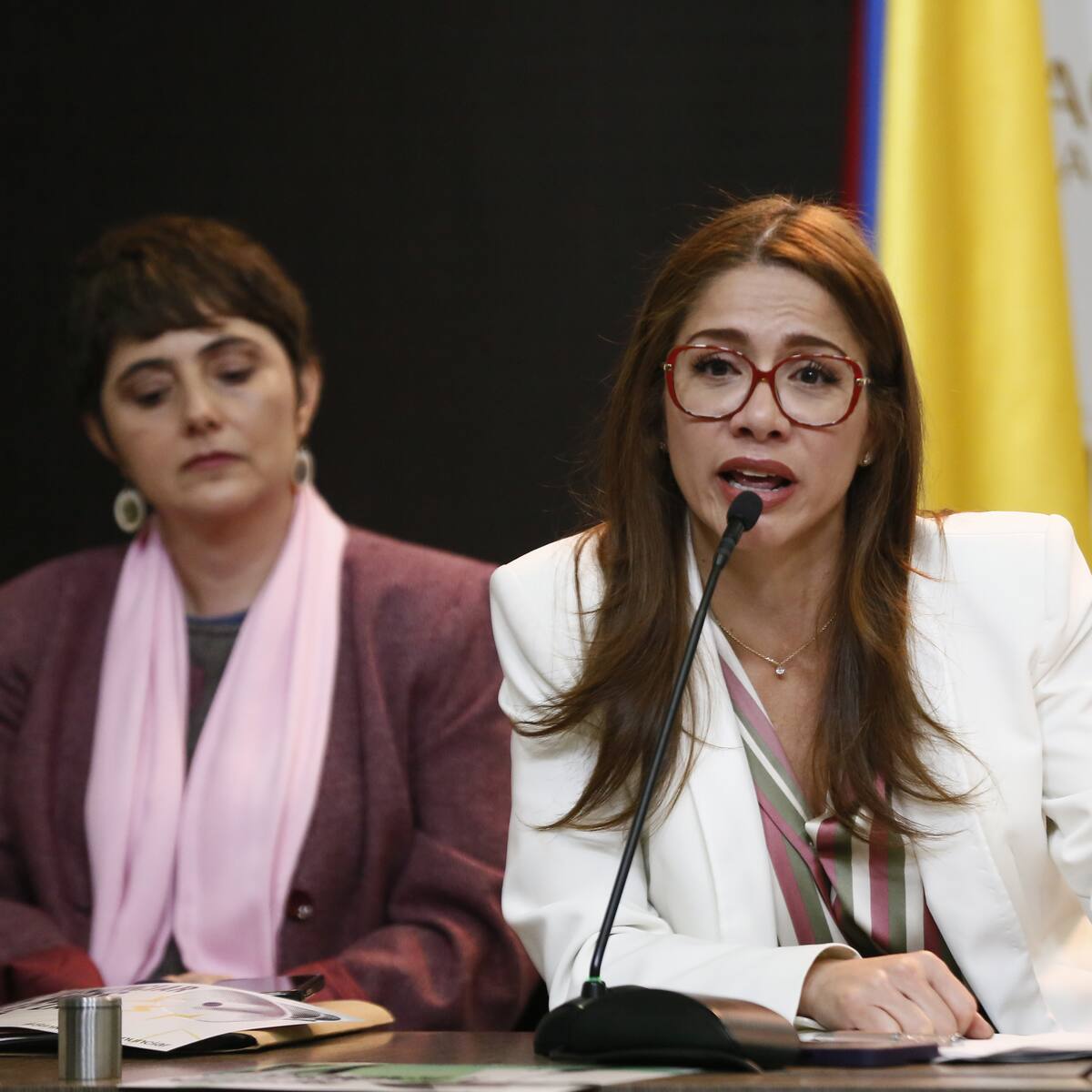 “Proyectos de autorreforma al Congreso implican un cambio cultural”: Catherine Juvinao