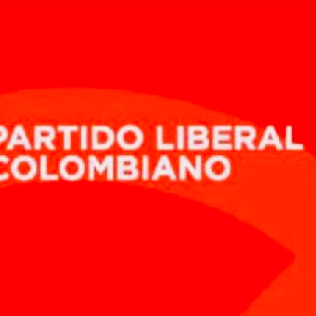 Liberales planean “gran coalición de centro” para presidenciales de 2026