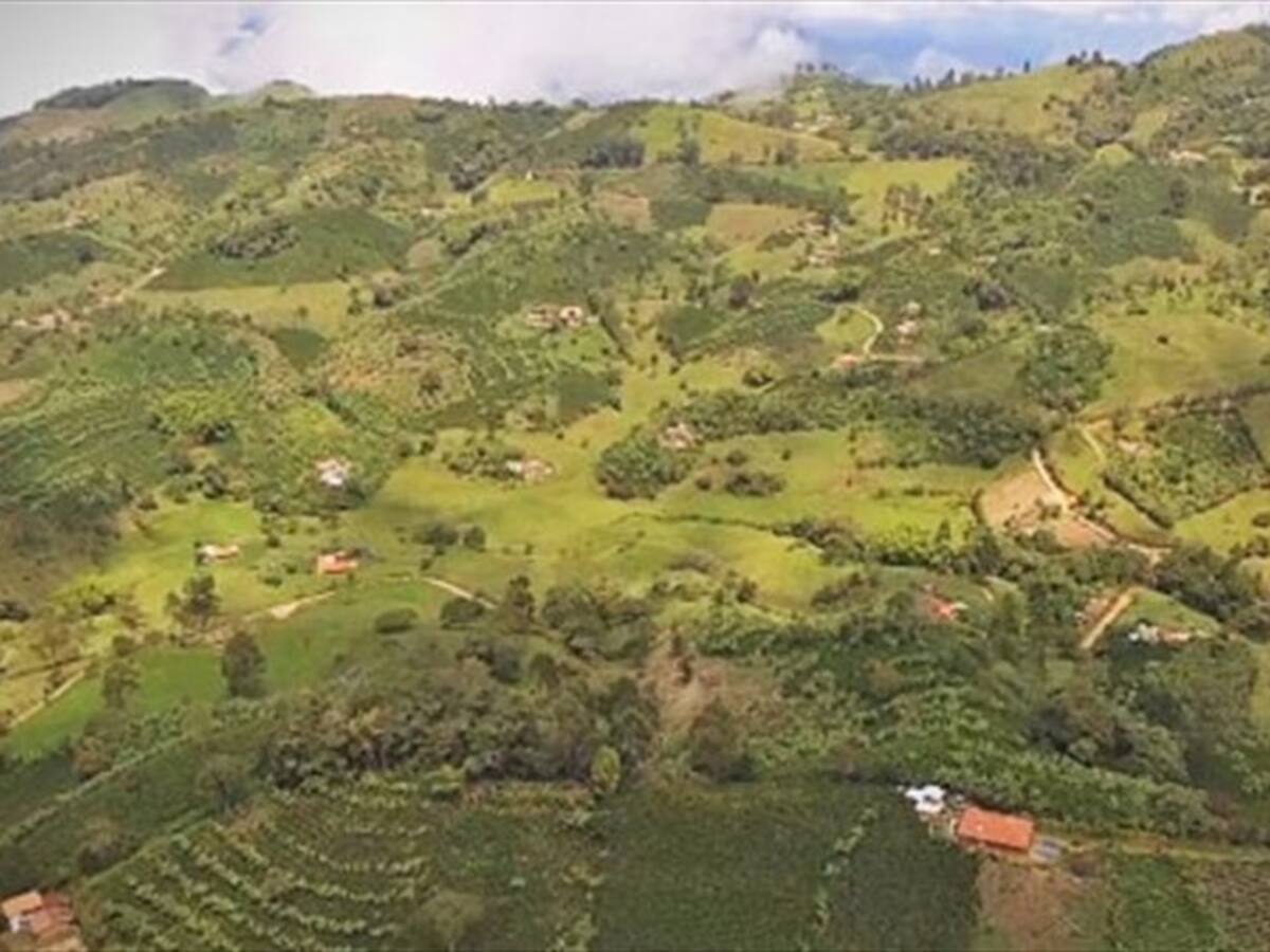 Proyecto minero de Quebradona en Antioquia sigue adelante con su licenciamiento