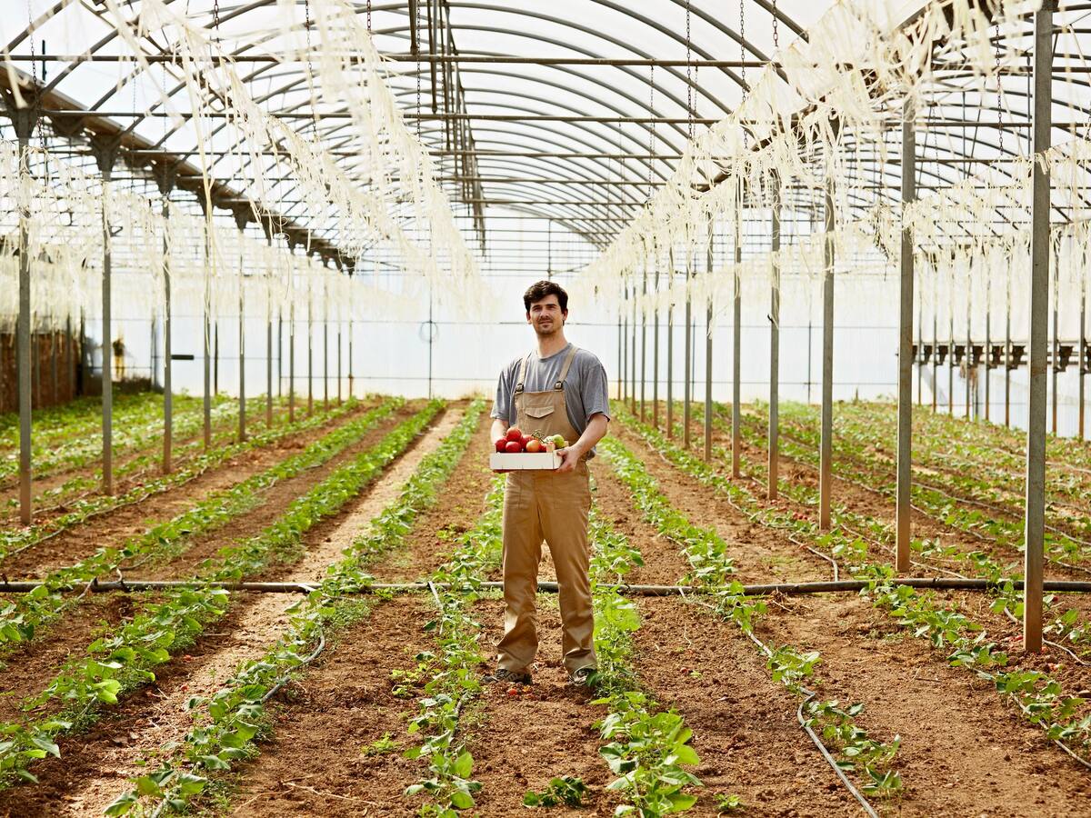 BloomsPal: Software que conecta agricultores nacionales con proveedores globales