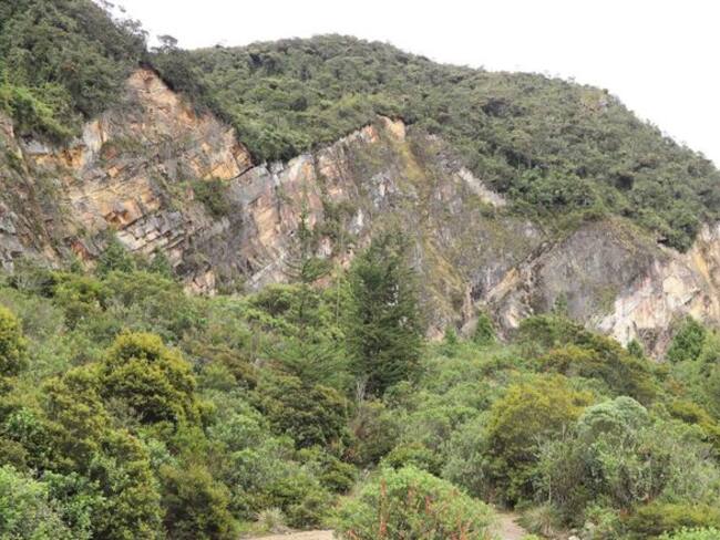 Serranía El Zuque | Foto: MinAmbiente