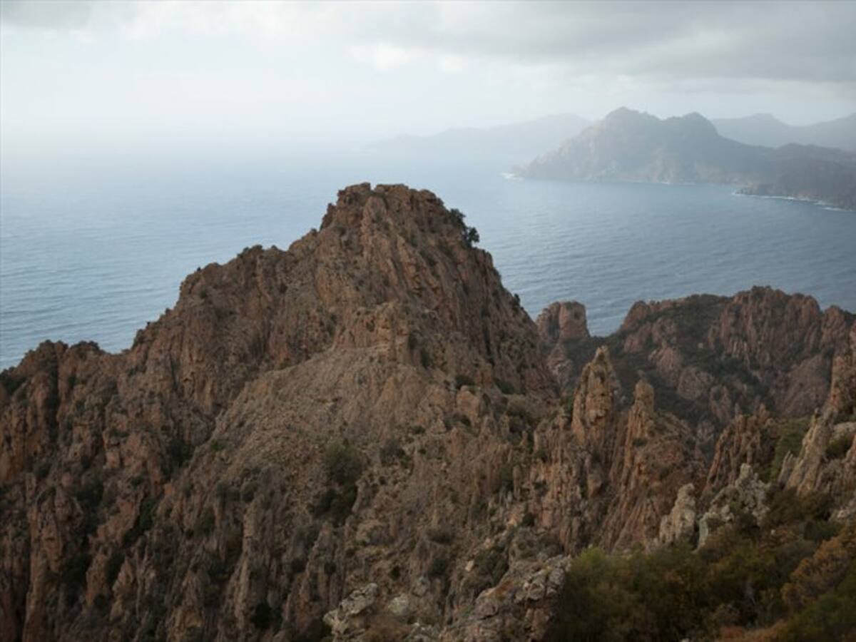 Preocupación por joven colombiano desaparecido en Marsella, Francia