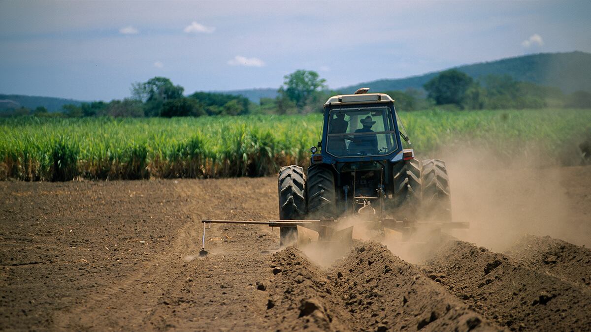 PepsiCo impulsa la sostenibilidad en Colombia con iniciativas clave para un futuro más verde