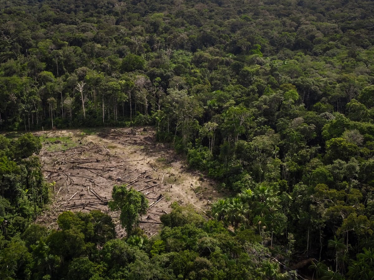 Amazonía brasileña registra el nivel de deforestación más bajo en 40 años