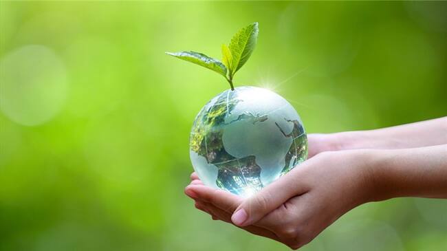 ¿Qué hace usted para salvar el planeta? . Foto: Getty Images