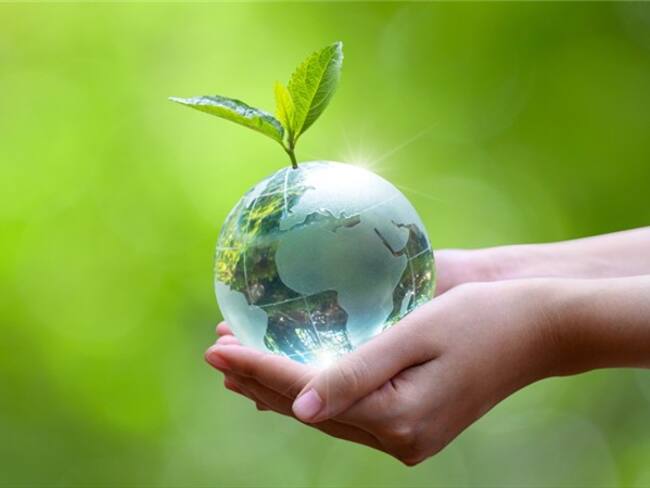 ¿Qué hace usted para salvar el planeta? . Foto: Getty Images