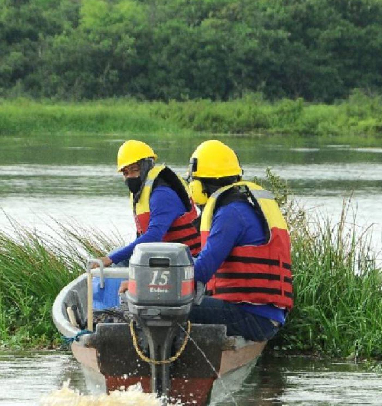 Palotal/suministrada