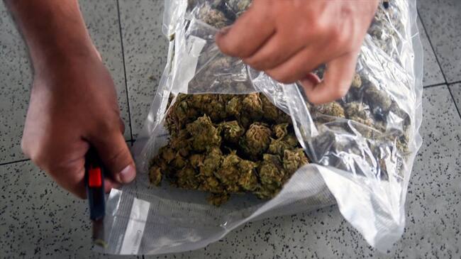 Las dos toneladas de marihuana estaban camufladas dentro de un vehículo que se encontraba dentro de un parqueadero en la localidad de Bosa. Foto: Getty Images