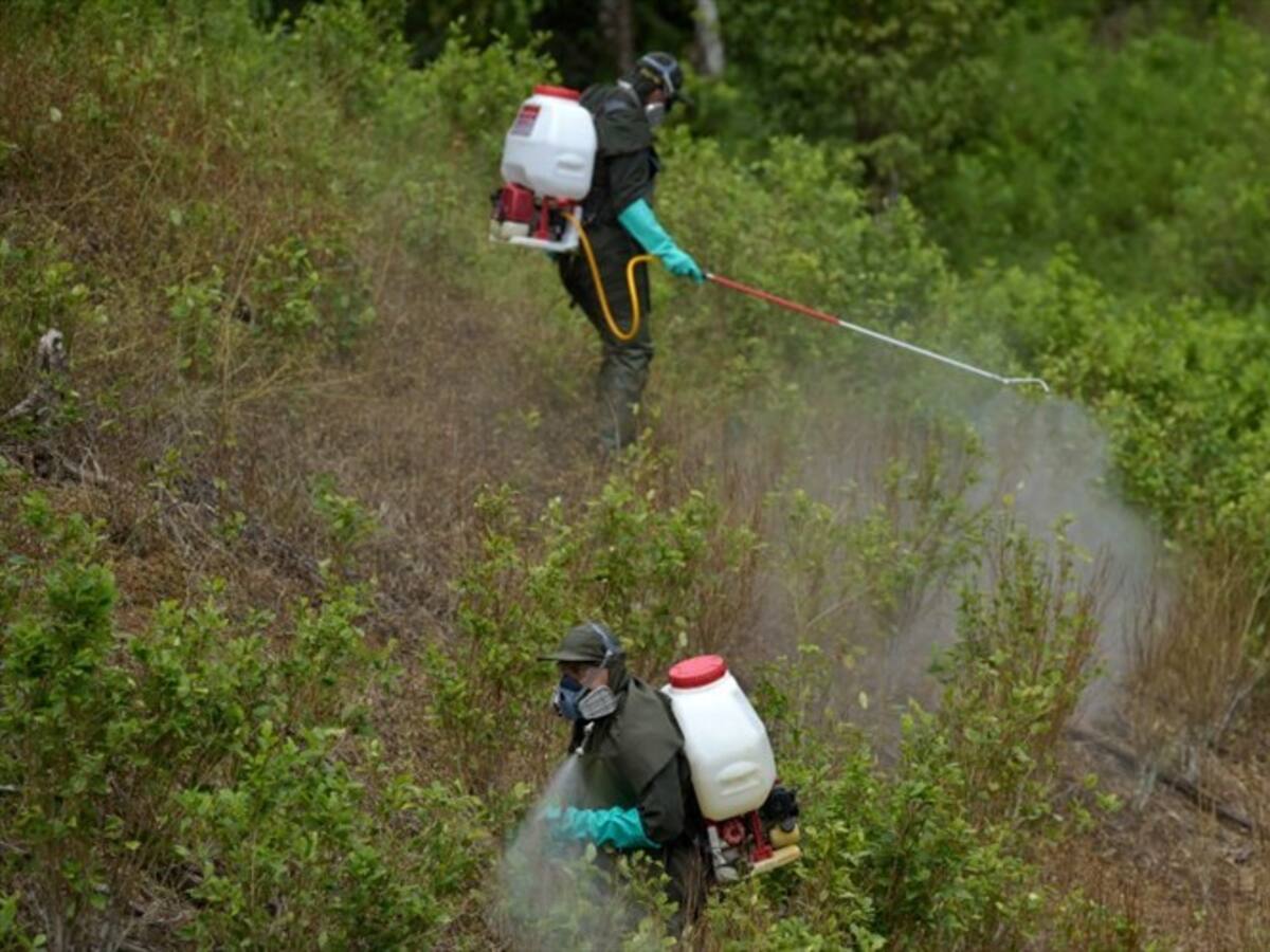 Se desata debate político por aspersión con glifosato