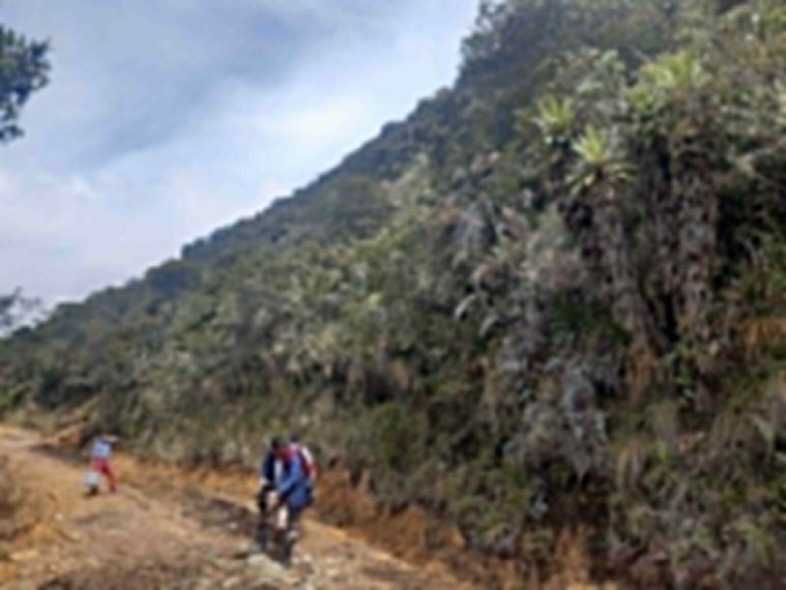  Defensoría también cuenta con archivos fotográfico y videos de vegetación nativa afectada. Foto: W Radio.