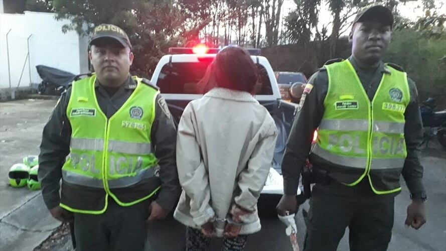 Una mujer le habría propinado 32 puñaladas a un perro pitbull. Foto: Isabel Escobar