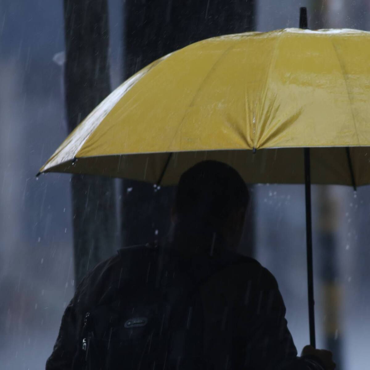 Emergencia por lluvias: casas resultaron inundadas en el sur de Barranquilla