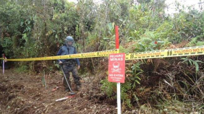Un muerto y tres heridos deja explosión de una mina antipersonal en Tierralta. Foto: Colprensa (referencia).