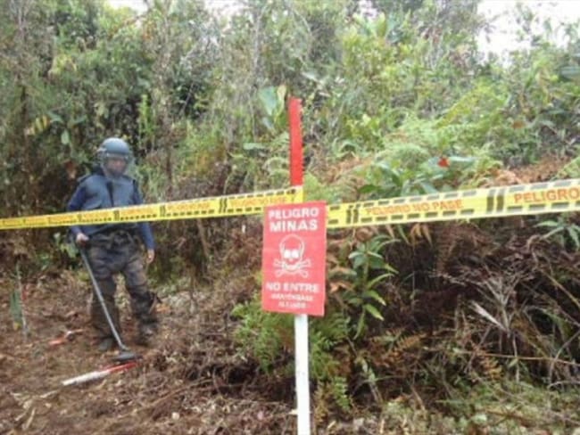Un muerto y tres heridos deja explosión de una mina antipersonal en Tierralta. Foto: Colprensa (referencia).
